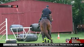 A look at the Lafayette Police Department's mounted patrol (pt 2)