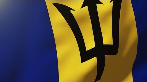4K Barbados flag waving in the wind. Looping sun rises style. Animation loop Stock video