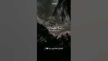 تلاوة خاشعة و مريحة لياسر الدوسري 🤍🎧 سورة النساء #قران_كريم #راحة_نفسية #ياسر_الدوسري