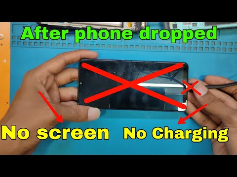 After dropped Phone,No Screen,No Charging...