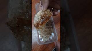 Asli Shehat - Desi Honey