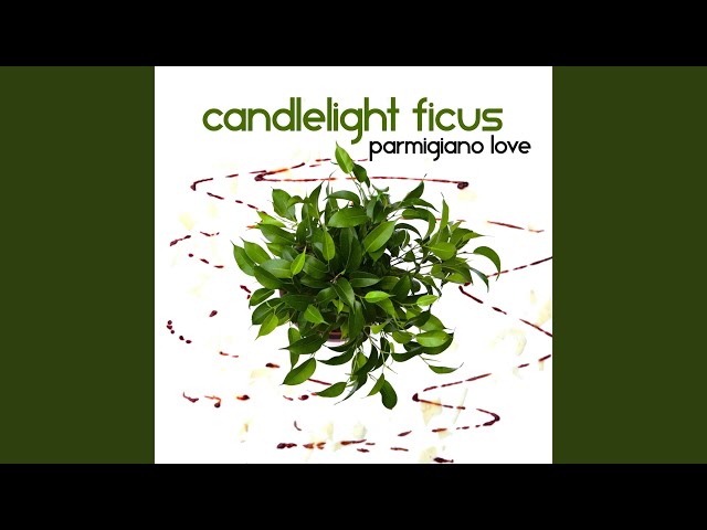 Candlelight Ficus - Tambourine
