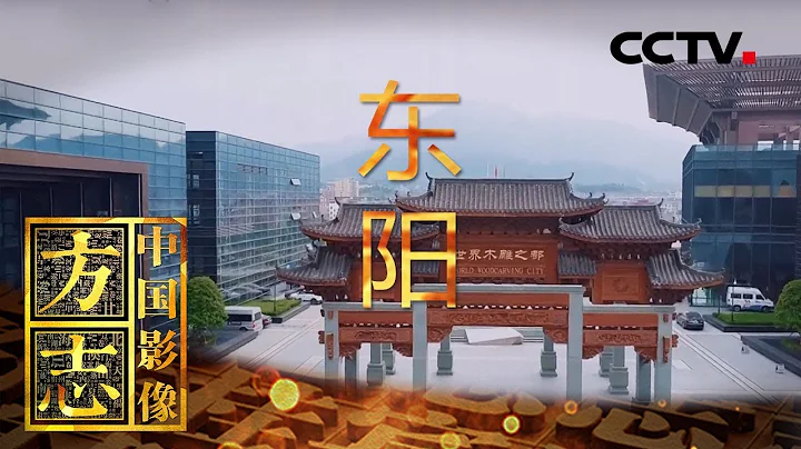《中国影像方志》 第144集 浙江东阳篇 世界木雕之都 以巧工闻名于世 | CCTV科教 - 天天要闻