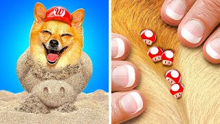 Mario Dog Has Fleas  *Cool Pet Hacks and Gadgets For Pets With Mario, Digital Circus*