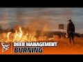 Controlled Burning | How To | Deer Management