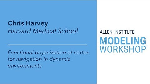 Allen Institute Modeling Workshop | Chris Harvey
