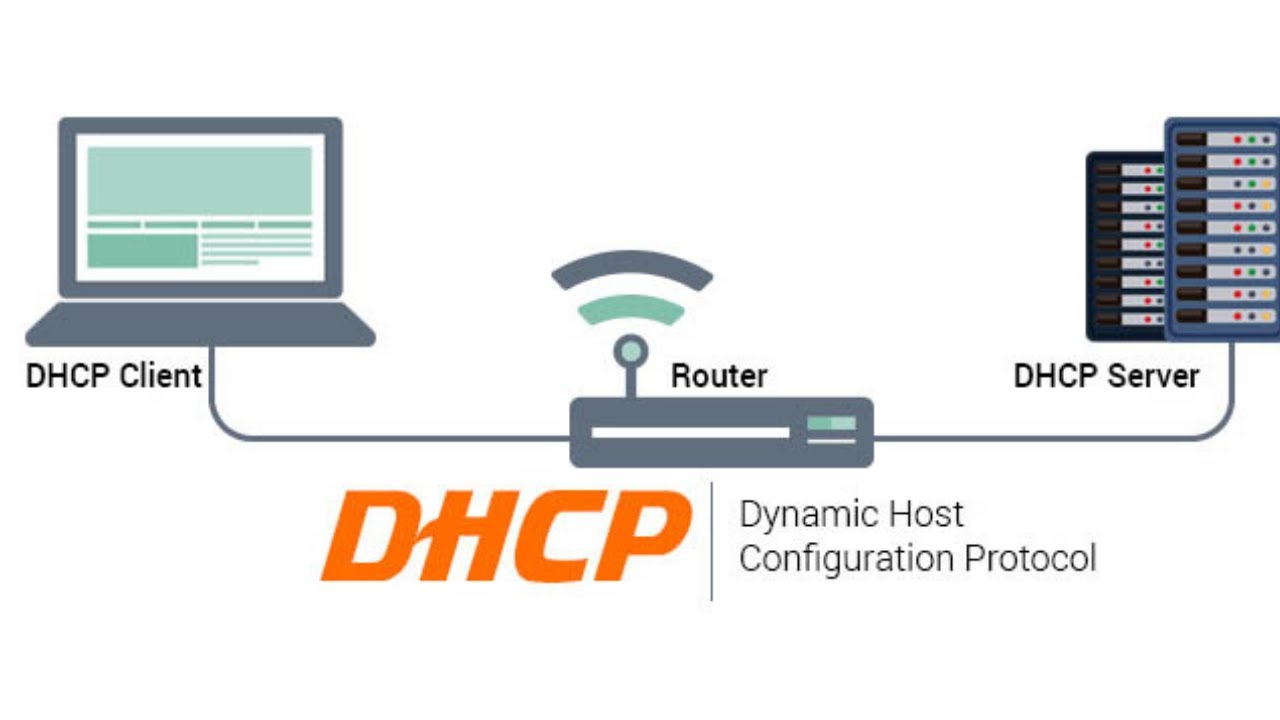Dynamic host configuration protocol