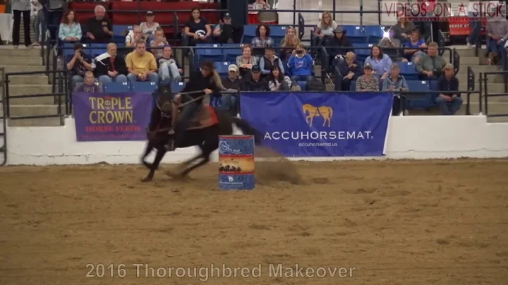 2016 Thoroughbred Makeover Barrel Racing Winners D...