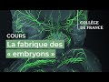 La fabrique des  embryons  1  denis duboule 20232024