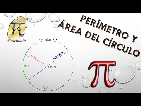 Vídeo: Quin terme significa lateralis?