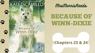 BECAUSE OF WINN-DIXIE Chapters 23 & 24 Read Aloud screenshot 4