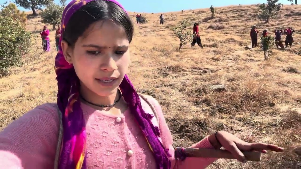 पहाड़ी जिंदगी  ! ऐसी हमारी पहाड़ी संस्कृति है — साथ चलना, साथ काम करना और अपने गाँव को आगे बढ़ाना ❤️