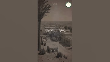 المنشاوي تلاوات نادرة ❤️ #تلاوة #المصحف #اكسبلور #المنشاوي #راحة_نفسية #قرآن #تجويد