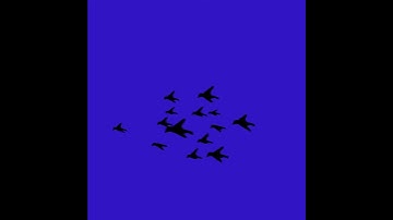 Bird Flock - Animation Cut Scene