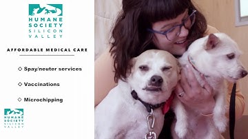 Humane Society of Silicon Valley