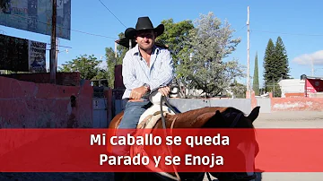 ¿Qué hacer con un caballo que se niega a avanzar?