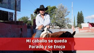 Caballo que no quiere avanzar - ¿Cómo lidiar con un caballo enojado?