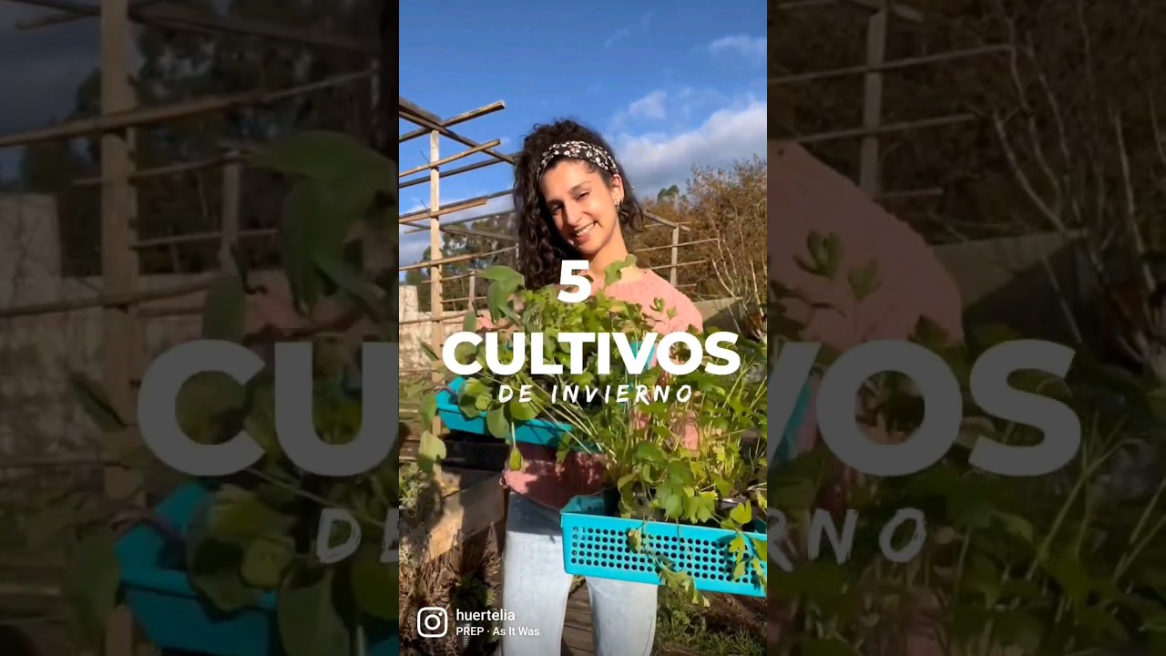 Hoy os enseño 5 cultivos que todavía estoy plantando en la huerta de invierno!🌱❄️🧤#huertaencasa