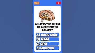 What is the brain of a computer called.