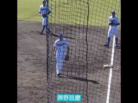 20241109　投内連携！ﾉｯｸを受ける #勝野昌慶　#shorts　#守備練習@ﾅｺﾞﾔ球場 秋季ｷｬﾝﾌﾟ2024