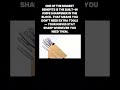 Best Kitchen Knife Set 2026 – Ultra Sharp 14-Piece Japanese Style Review (Worth It?)