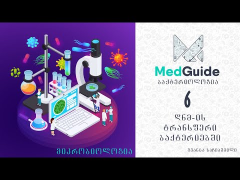 Medguide/მედგიდი - მიკრობიოლოგია | ბაქტერიოლოგია: დნმ_ის ტრანსფერი ბაქტერიებში