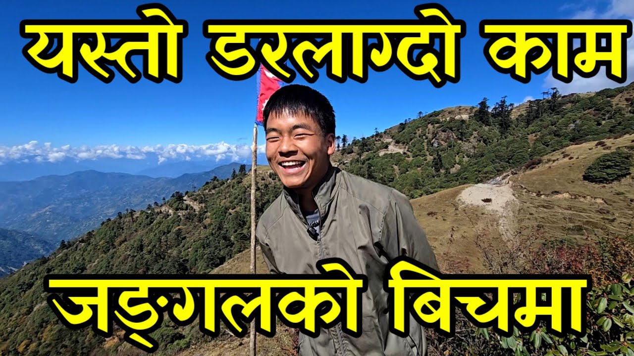 भालु लाग्ने जङ्गलमा दिनकै दस हजार कमाउने 15 बर्षे वाङ्चु शेर्पा thokum valley ,Panchthar news