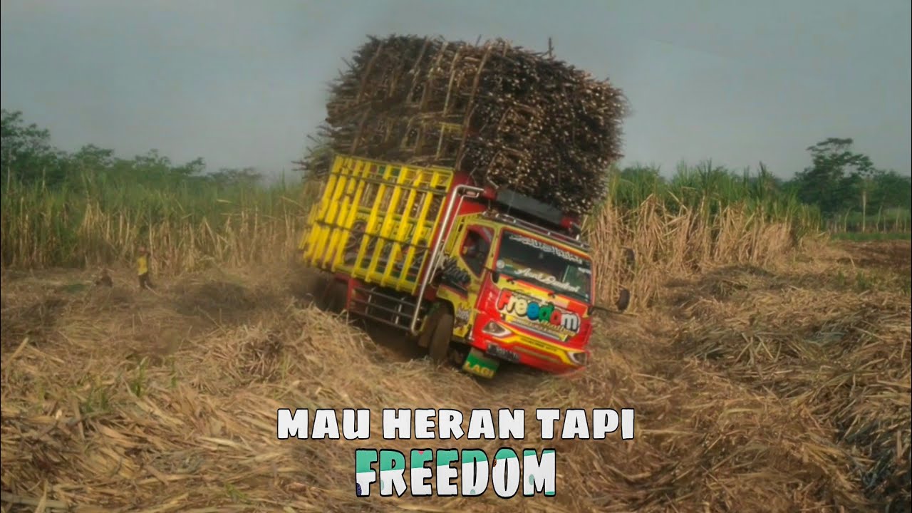 truk tebu freedom bosku