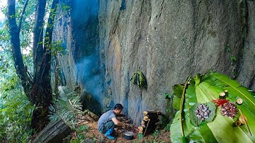 #19 Sinh Tồn Trong Rừng, Dự Trữ Củi Những Ngày Mưa Gió, Thịt Rừng Béo Ngậy| Thợ Rừng Núi