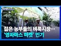 [화제현장 이곳] 젊은 농부들의 벼룩시장…‘영파마스 마켓’ 인기 / KBS  2025.06.30.