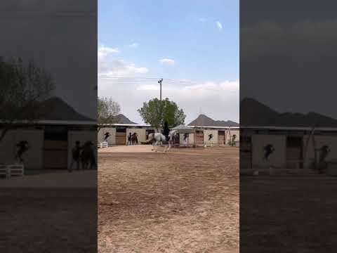 الفارسة غادة