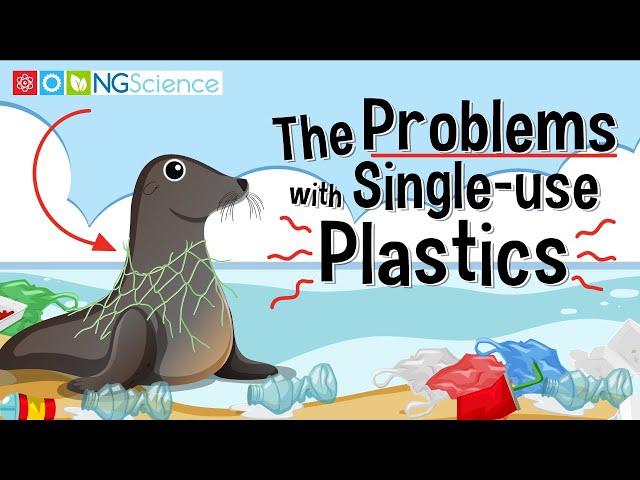 The Problems with Single-use Plastics class=