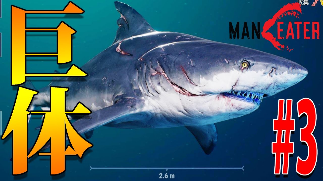Maneater 3 サメになって人類に復讐する 鮫版グラセフ マンイーター ゲーム Pc Ps4版あり Youtube