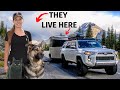 RV Tour 🚙 SOLO FEMALE Full Time RV Living in an Airstream Basecamp 👩 with a Dog and Cat 😸🐶