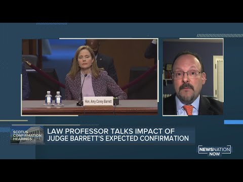 Law professor on