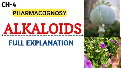 Alkaloids Pharmacognosy || Full Explanation || CH-4 ||
