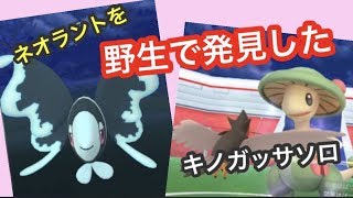 ネオラントを野生で発見してテンション上がった ポケモンgo Youtube