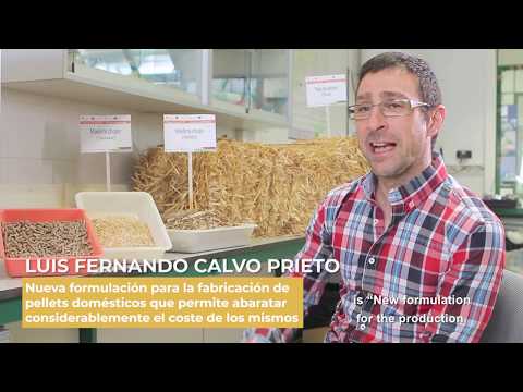 Video: Pellet De Hojas Redondas