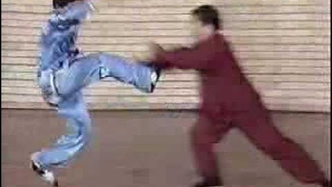 Taiji Push Hands - Fu shengyuan II