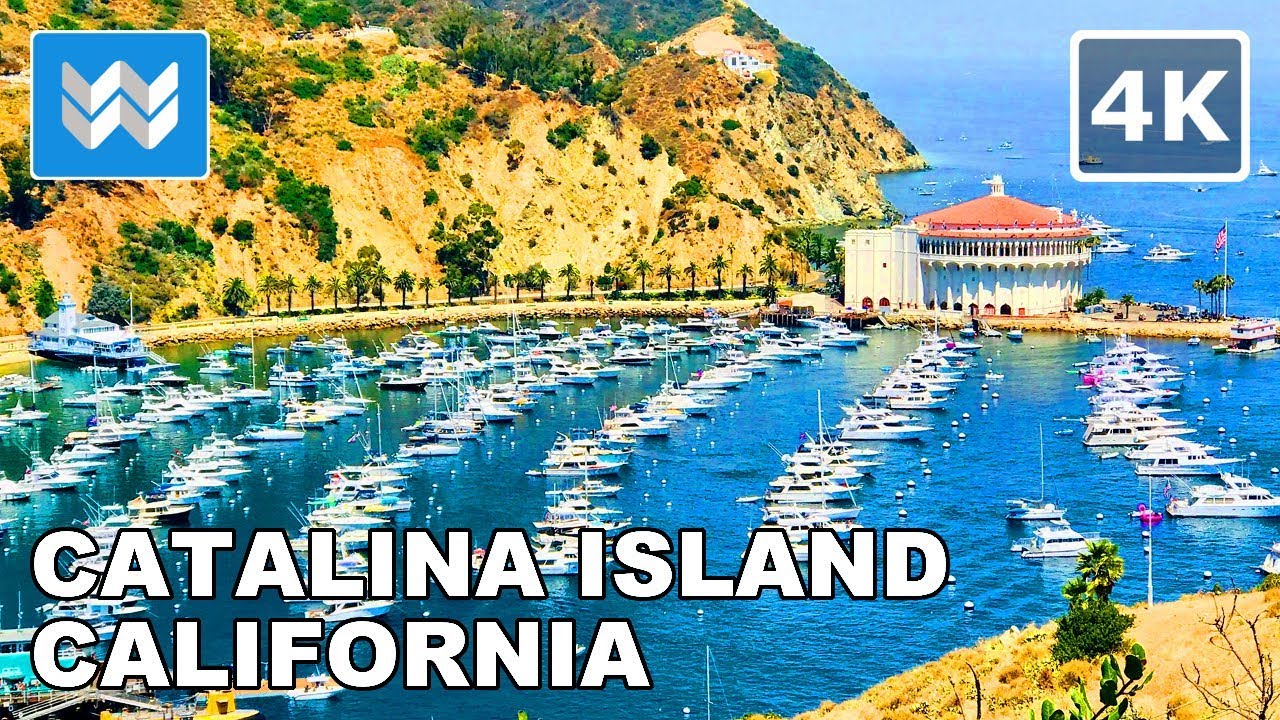 Walking Tour of Catalina Island's Avalon Town & Harbor in California USA ? Tips & Trave