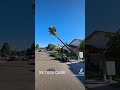 Removing a palm tree