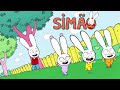 Simão *30 Minutos* Compilação de episódios *2ª temporada* HD [Simon] Português de Portugal