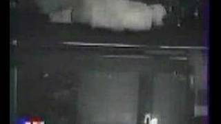 cat fall i the water by Osama Aljassar 643 views 16 years ago 4 seconds