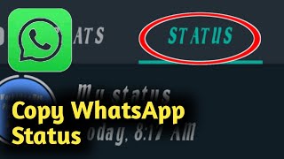 How to Copy WhatsApp Status screenshot 5