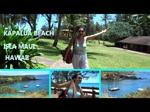Video: Los mejores lugares para bucear en Maui