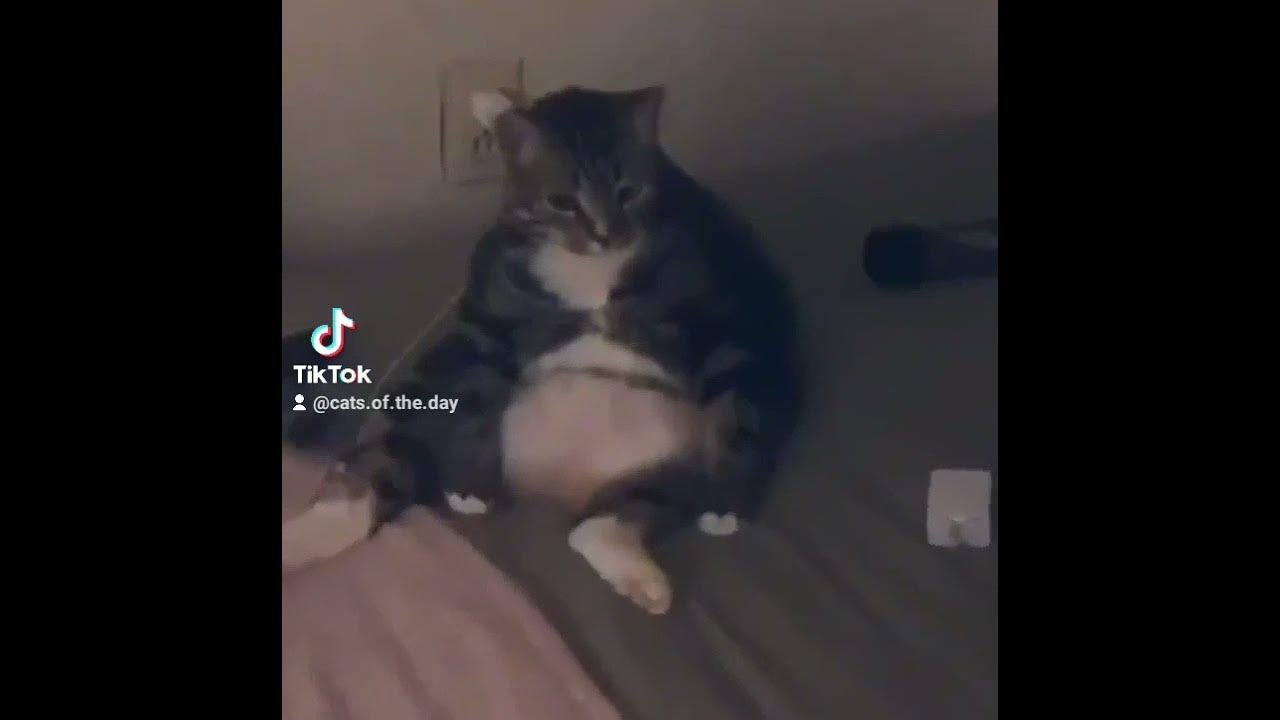 Толстячок - YouTube