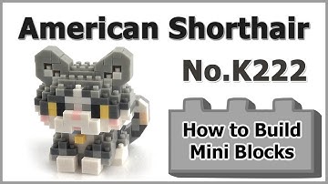 How to Build Mini Blocks American Shorthair Cat K222 Review Instructions Specifications