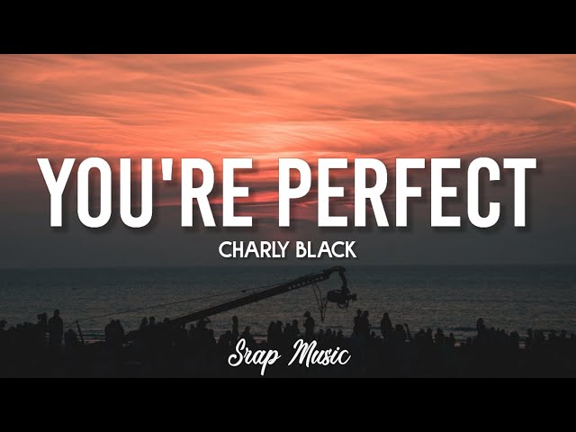 Charly Black - You're Perfect [Lyrics] | Perfect Body With a perfect smile [ Tik Tok ] class=