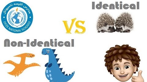 Identical Objects vs Non-Identical Objects