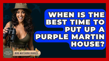 When Is The Best Time To Put Up A Purple Martin House? - Bird Watching Diaries